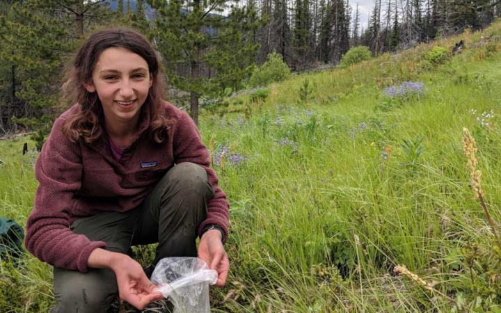 a person holds a small plastic bag in a meadow of tall grasses.